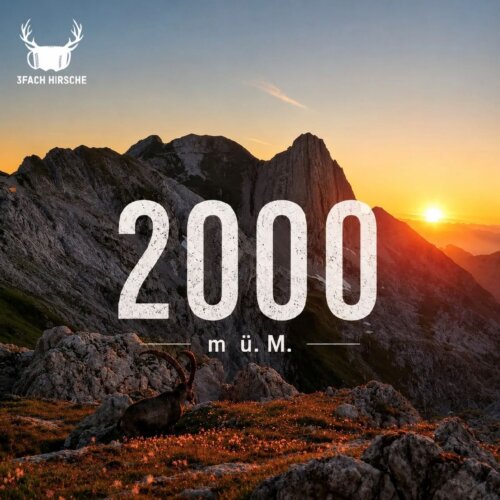 Cover 2000 M.ü.M.