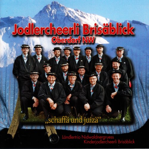 Cover Schaffe und juizä