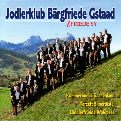 Cover Zfriede sy