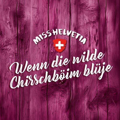 Cover Single Volksmusig on the Rocks