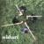 typisch
