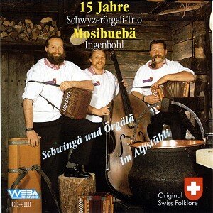 Cover 15 Jahre Schwyzerörgeli-Trio Mosibuebä