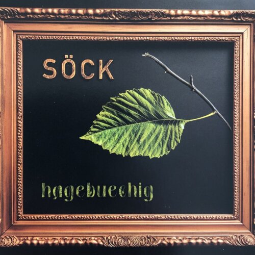 Cover hagebuechig