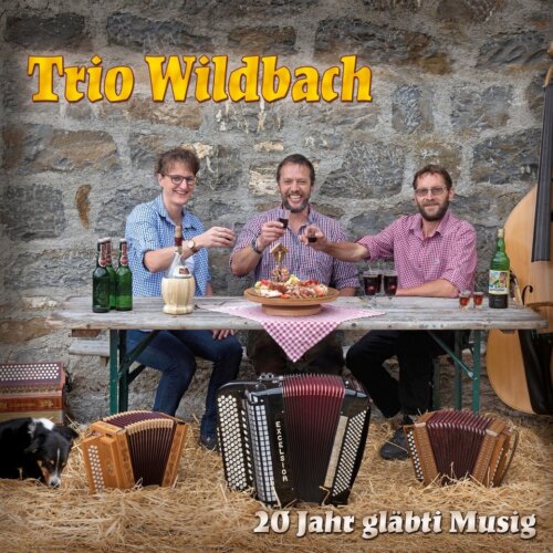 Cover 20 Jahr gläbti Musig