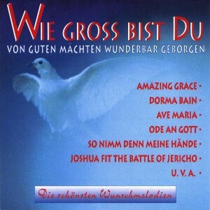 Cover Wie Gross Bist Du