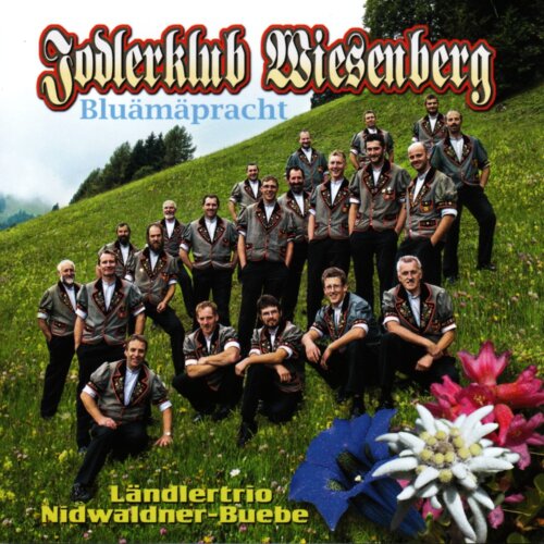 Cover Bluemepracht