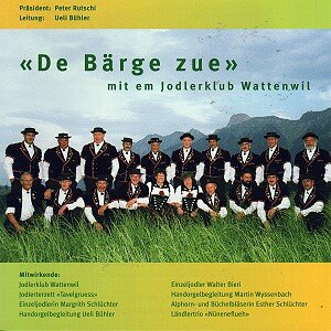 Cover De Bärge zue