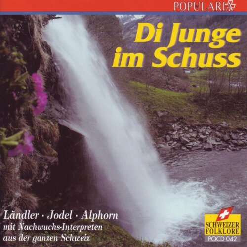 Cover Di Junge im Schuss