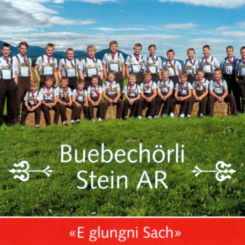 Cover E glungni Sach