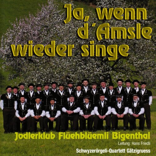 Cover Ja, wenn d Amsle wieder singe