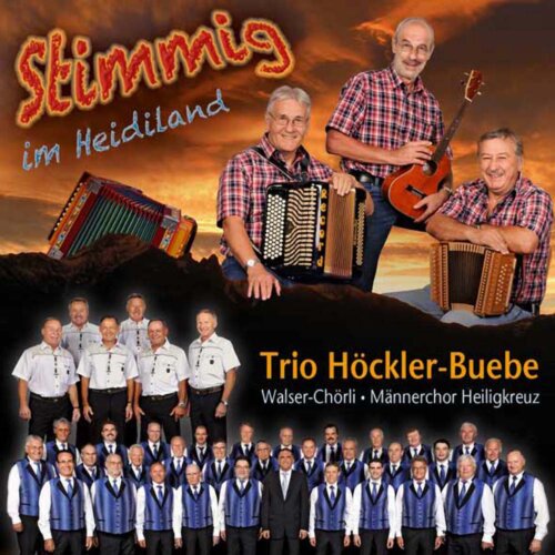 Cover Stimmig im Heidiland