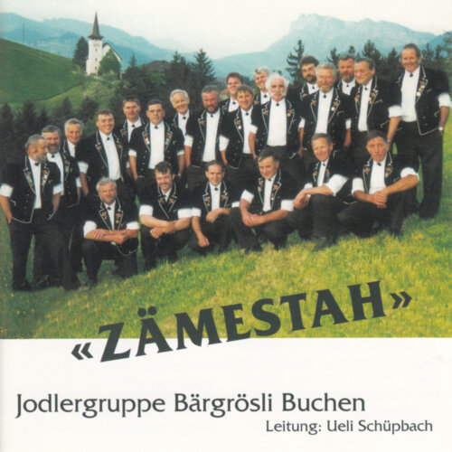Cover Zämestah
