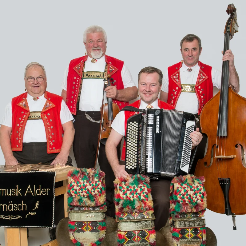 Original Streichmusik Alder