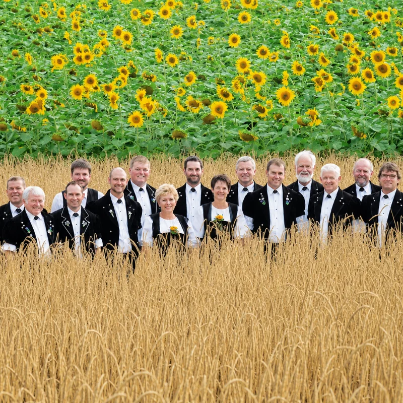 Sunnechörli Zämewürfliwil