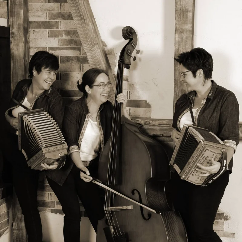 Schwyzerörgeli-Trio Balmhorn
