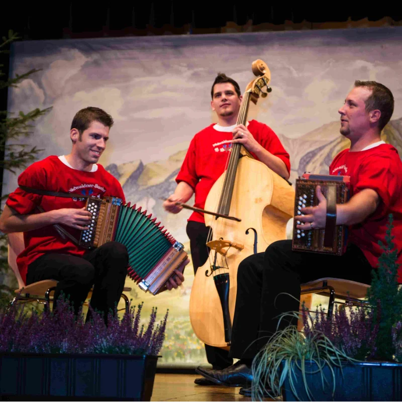 Ländlertrio Nidwaldner Buebe