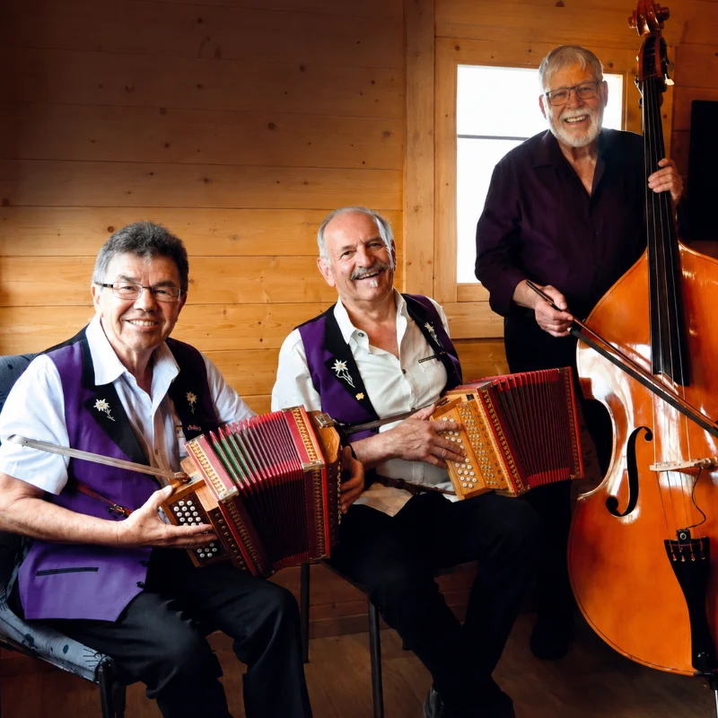 Schwyzerörgeli-Trio Spychergruess